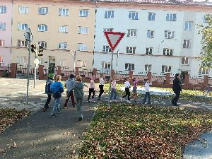 IMG_20241022_140346