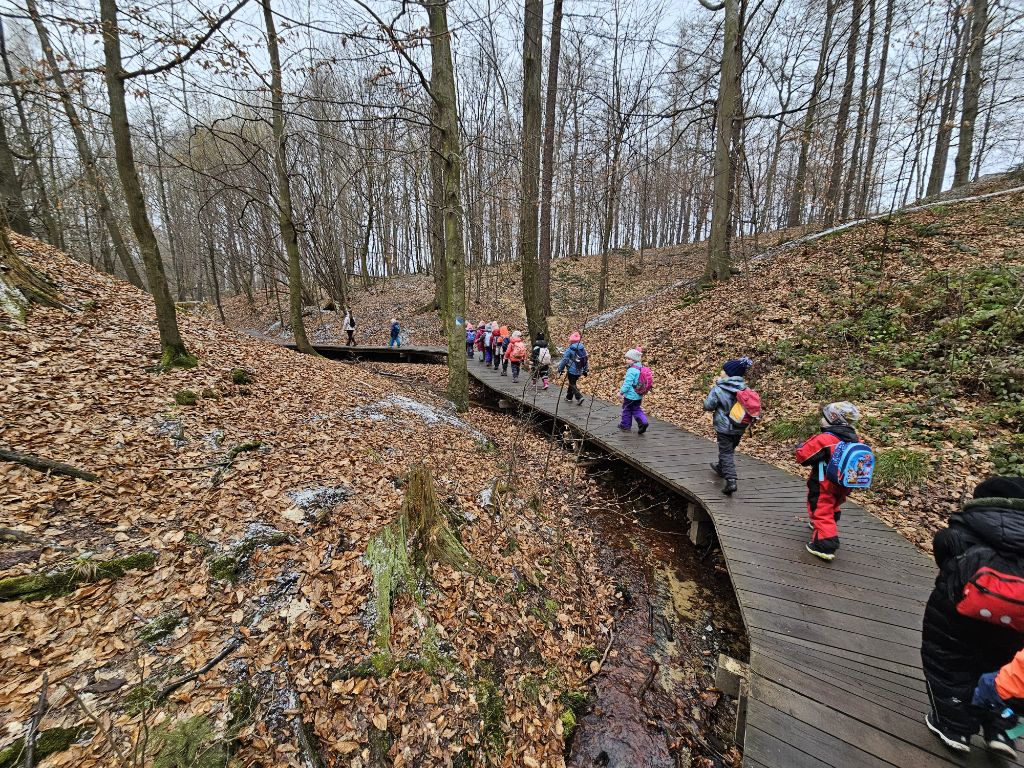 Bělský les (23)
