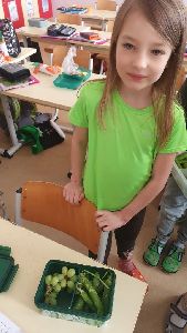St. Patrick´s Day (13)