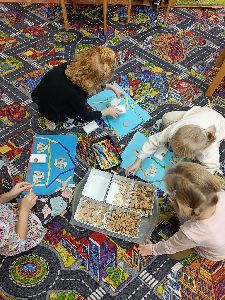 IMG20241120091248