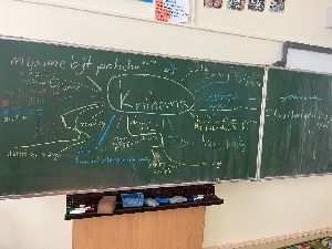 knihovna0