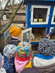 Farma Duběnka (3)