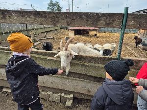 Farma Duběnka (20)