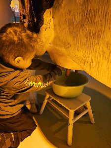 DOV (12)