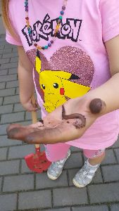 Hmyzí domeček a žížalník (10)