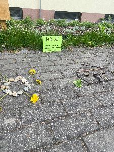 Den Země (25)