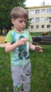 Den Země (19)