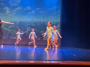 showman (15)